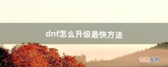 dnf怎么升级最快方法（dnf如何快速升级到100)