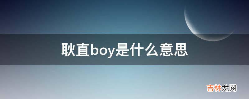 耿直boy是什么意思?