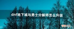 dnf地下城与勇士分解师怎么升级（地下城分解师怎么最快升级)