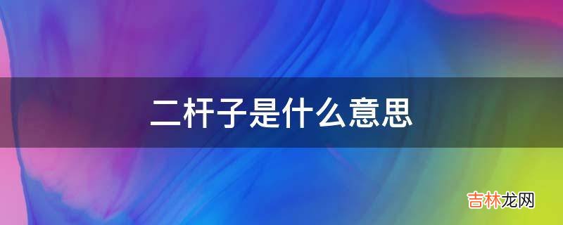 二杆子是什么意思?