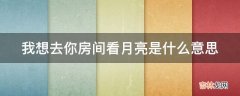 我想去你房间看月亮是什么意思?