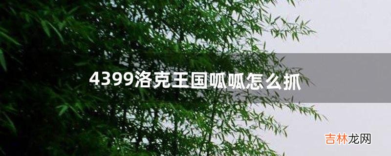 4399洛克王国呱呱怎么抓(4399洛克王国经验分配)