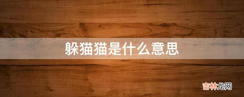 躲猫猫是什么意思?