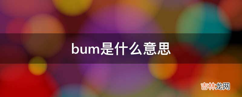 bum是什么意思?