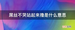 屌丝不哭站起来撸是什么意思?