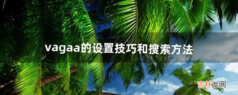 vagaa的设置技巧和搜索方法（vagaa搜索不了怎么办)