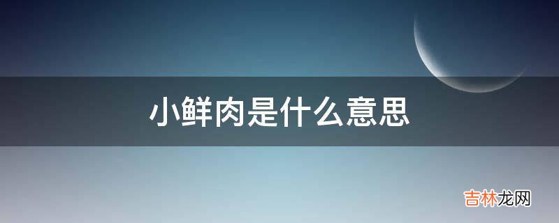 小鲜肉是什么意思?