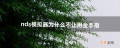 nds模拟器为什么不让用金手指（nds模拟器怎么输金手指)