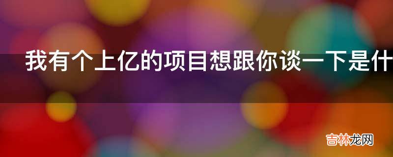 我有个上亿的项目想跟你谈一下是什么意思?