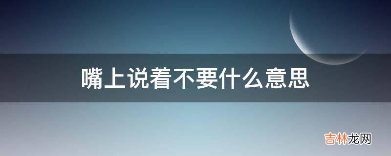 嘴上说着不要什么意思?