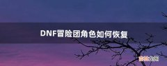 DNF冒险团角色如何恢复（dnf新版冒险团最强阵容)