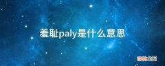 羞耻paly是什么意思?