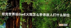 坦克世界玩GwE火炮怎么秒杀敌人打什么部位