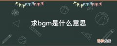 求bgm是什么意思?