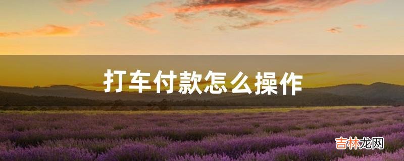 打车付款怎么操作(打车怎么付钱流程)