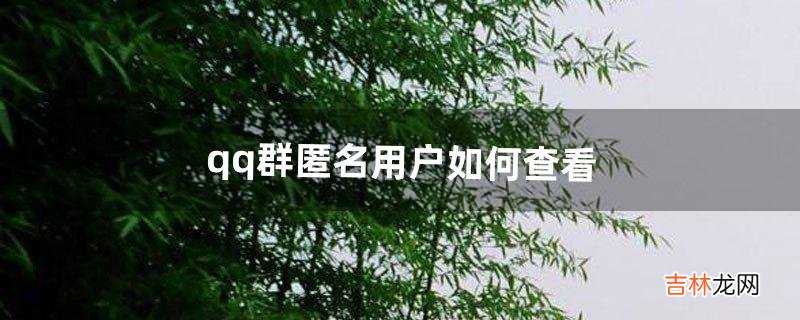 qq群匿名用户如何查看（qq里面群匿名怎么查)