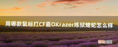 用哪款鼠标打CF最OKrazer炼狱蝰蛇怎么样