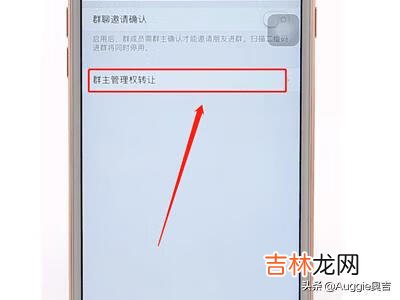 微信群如何转让群主（企业群怎么转让群主)