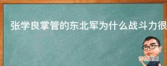 张学良掌管的东北军为什么战斗力很差?