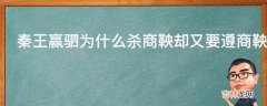 秦王赢驷为什么杀商鞅却又要遵商鞅之法?