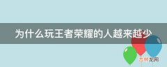 为什么玩王者荣耀的人越来越少?