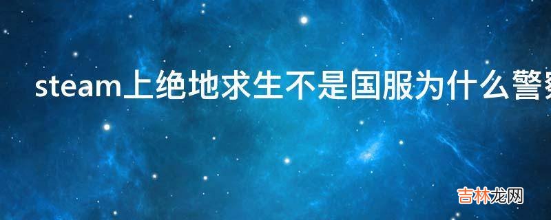 steam上绝地求生不是国服为什么警察会逮捕卖外挂的?