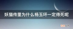 妖猫传里为什么杨玉环一定得死呢?