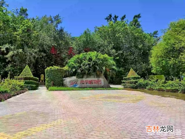 网上买的树苗怎么才能栽活(为啥网上买的树苗种不活)