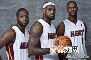 波什为什么会黯然退役（猛龙为什么不给波什退役球衣)