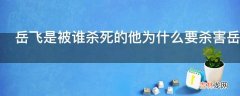 岳飞是被谁杀死的他为什么要杀害岳飞?