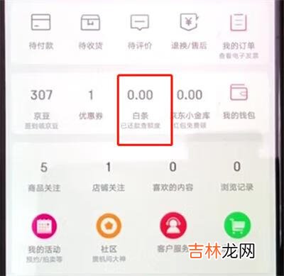 京东白条怎样还款最合理(京东白条在哪还款呢)