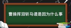 曹操挥泪斩马谡是因为什么事?