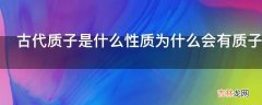 古代质子是什么性质为什么会有质子的存在?