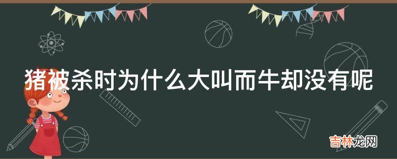 猪被杀时为什么大叫而牛却没有呢?