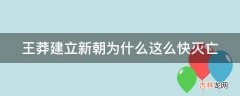 王莽建立新朝为什么这么快灭亡?