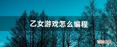 乙女游戏怎么编程