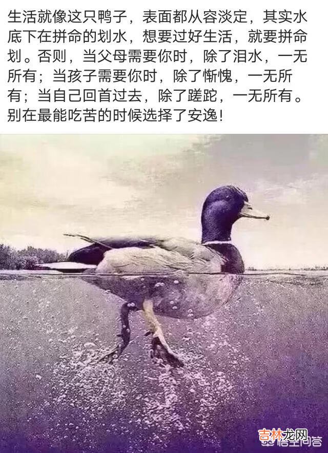 《王者荣耀》到底应该怎么打（荣耀王者100星后面是什么段位)