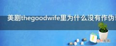 美剧thegoodwife里为什么没有作伪证的为什么这么公平理想化?