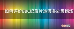 如何评价BBC纪录片造假多处震撼场景都是摆拍?