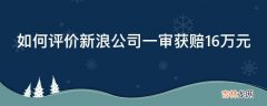 如何评价新浪公司一审获赔16万元?