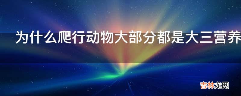 为什么爬行动物大部分都是大三营养级及其以上肉食动物?