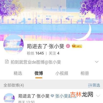 张小斐个站名叫陷进去了什么梗