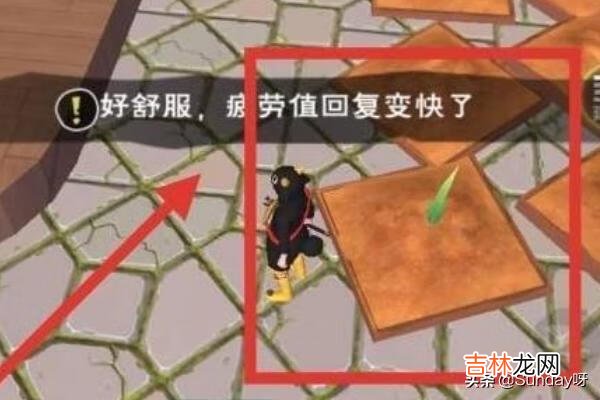 创造与魔法种子怎么使用（创造与魔法使用教程及下载)