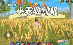 创造与魔法种子怎么使用（创造与魔法使用教程及下载)