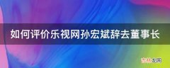 如何评价乐视网孙宏斌辞去董事长?