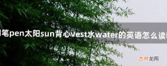 钢笔pen.太阳sun.背心vest.水water的英语怎么读啊