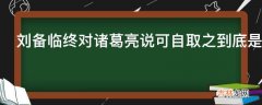 刘备临终对诸葛亮说可自取之到底是什么意思?