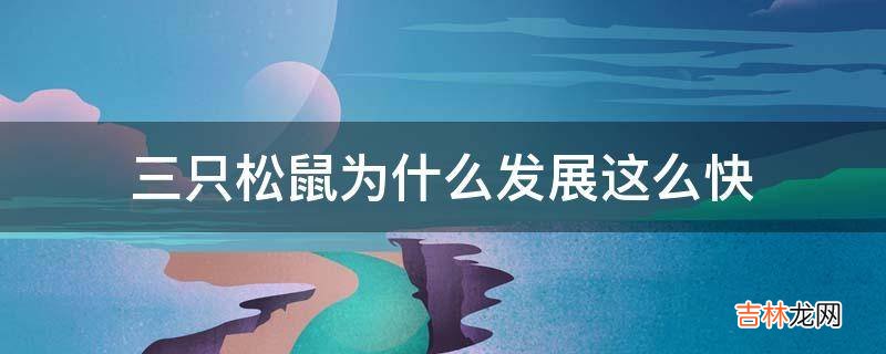 三只松鼠为什么发展这么快?