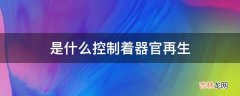 是什么控制着器官再生?