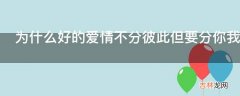 为什么好的爱情不分彼此但要分你我?